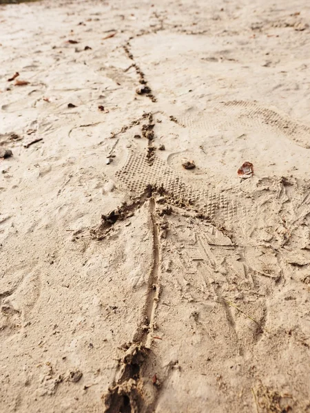 Les enfants dessinent la flèche dans le sable sur la plage de la baie. Jeu drôle avec suivant — Photo
