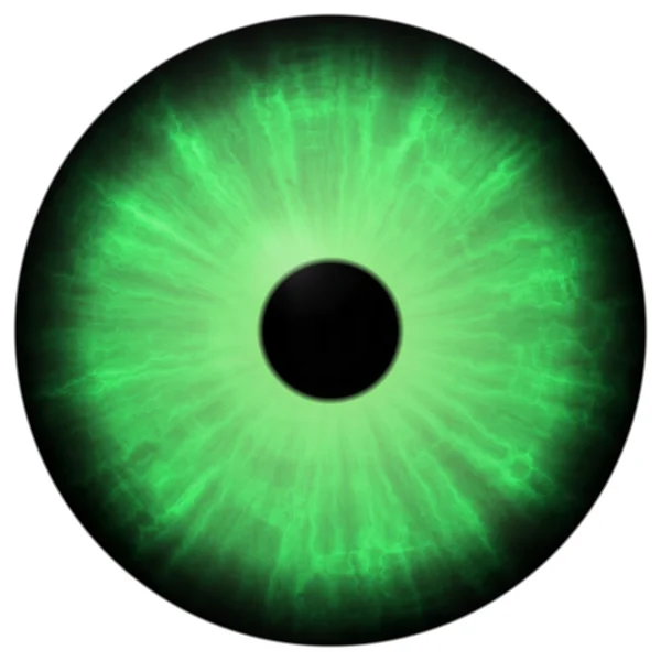 Na białym tle duże zielone oko. Ilustracja niebieski zielony pozbawiony tęczówki oka, odbicie — Zdjęcie stockowe