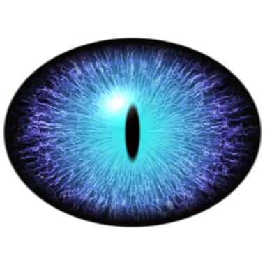 Isolated blue eye. Big elliptic eye with striped iris and dark thin elliptic pupil clipart