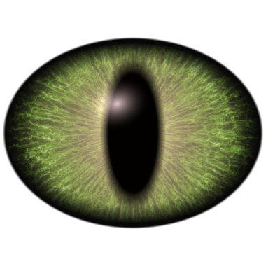 Bright green elliptic eye, narrowed  iris. Big lizard  eye  clipart