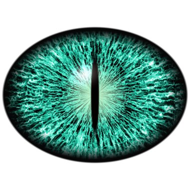 Green animal eye with large pupil and bright retina in background. Dark green iris  clipart