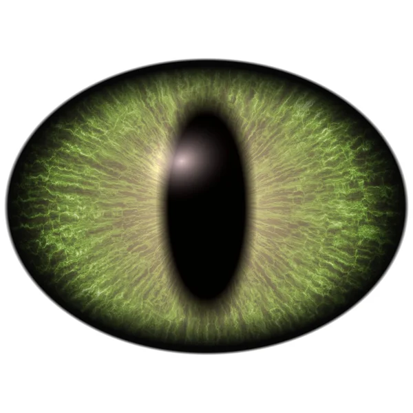 Olho elíptico verde brilhante, íris estreitada. Olho de lagarto grande — Fotografia de Stock