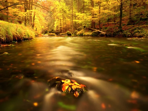 Río de montaña de otoño. Ondas borrosas, piedras musgosas —  Fotos de Stock