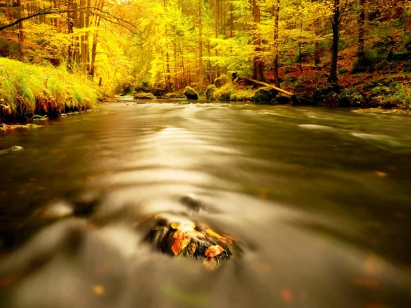Río de montaña de otoño. Ondas borrosas, piedras musgosas — Foto de Stock