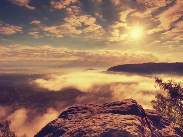 L'aube brumeuse bleue. falaise de grès au-dessus de vallée brumeuse profonde dans les montagnes . — Photo