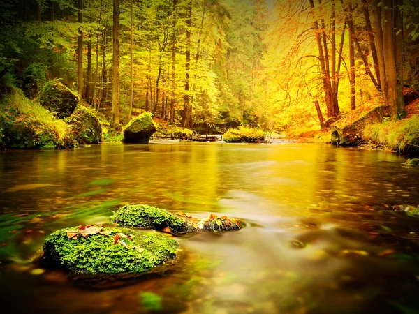 Pedregulhos com folhas caídas. Rio de montanha de outono. Folhas de faia, de bordo e de bétula . — Fotografia de Stock