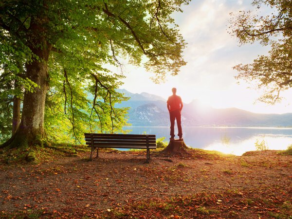 Man in red jacket and black trousers stand on tree stump. Empty wooden bench at mountain lake.