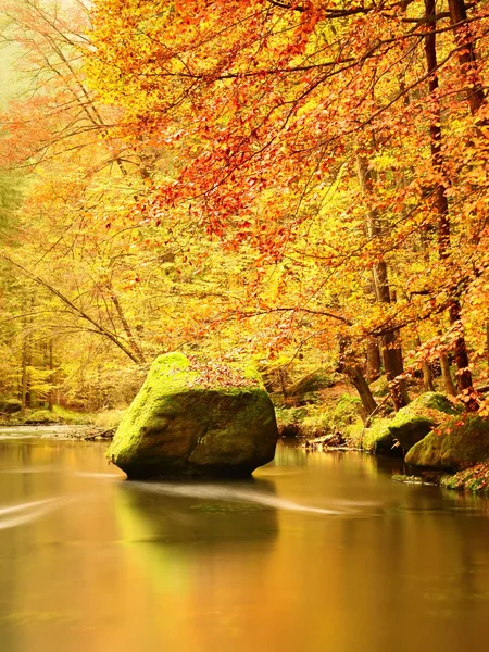 Bosque colorido de otoño sobre el río de montaña. Agua bajo las hojas árboles . —  Fotos de Stock