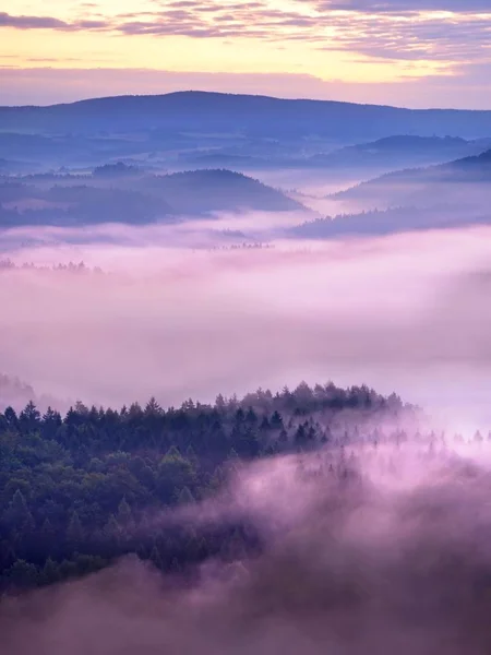 Amanecer melancólico brumoso en el hermoso valle de hadas. Picos de roca recortar cremosas nubes de niebla — Foto de Stock