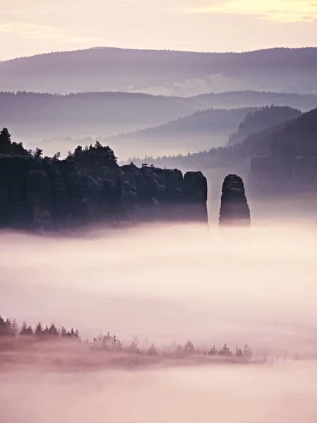Dromerige mistige boslandschap. Majestueuze toppen van stenen snijden verlichting mist. Diepe vallei — Stockfoto