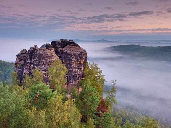 Sharp sandstone cliffs above deep misty valley. Popular climbers resor — Stock Photo, Image