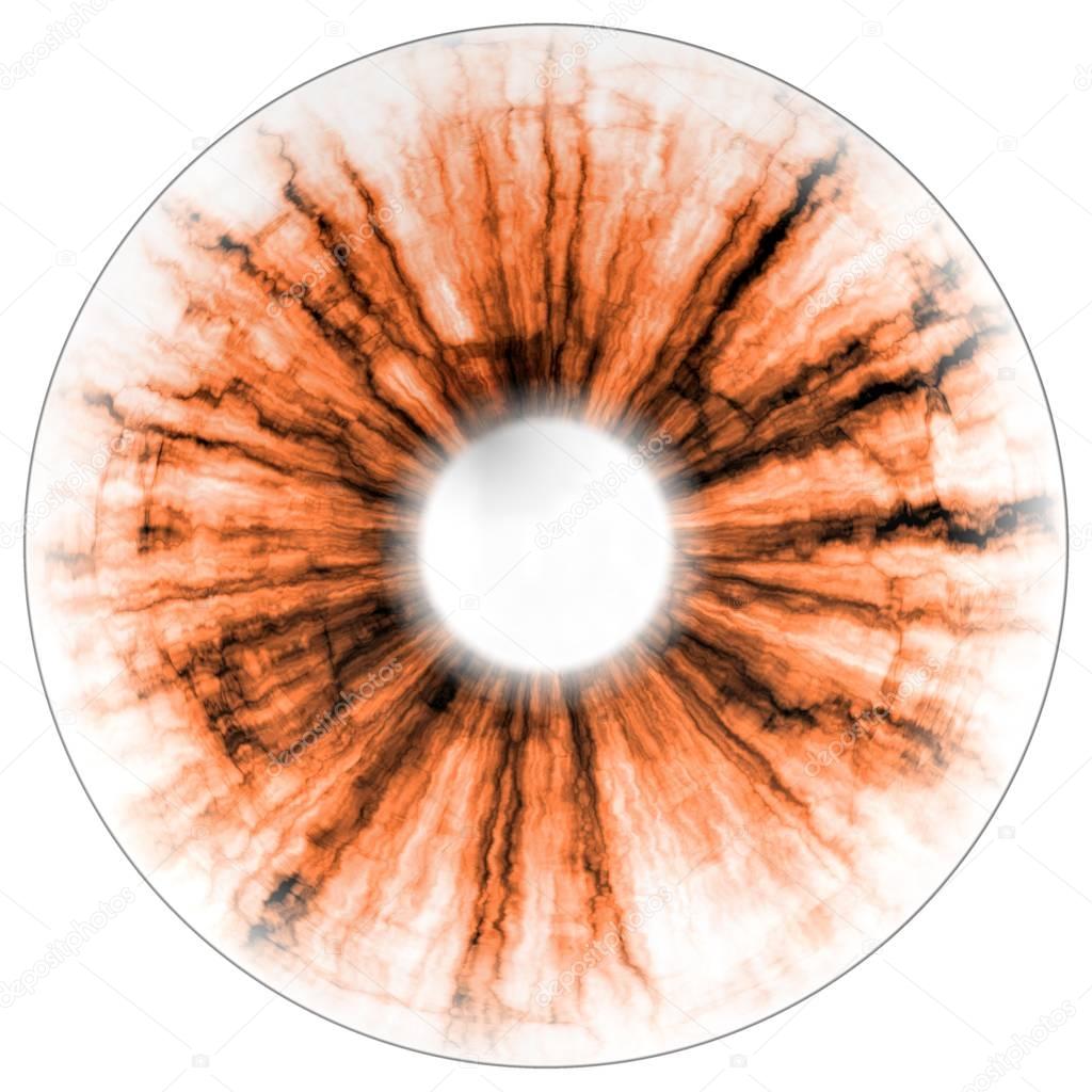 Illustration of eye negative, orange iris, light reflection. Middle size of eyes.