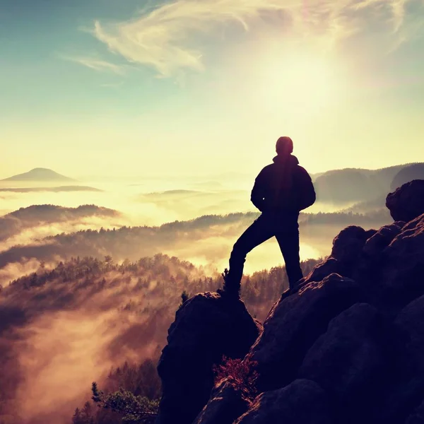 Hiker stand at heather bush on corner of empire. Fall season — Stock Photo, Image