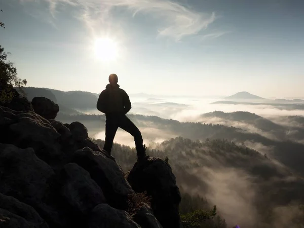 Wanderer stehen am Heidekrautbusch an der Ecke der Kaiserlichen Kiefer. — Stockfoto