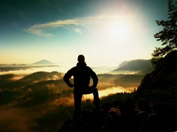 Wanderer stehen am Heidekrautbusch an der Ecke der Kaiserlichen Kiefer. — Stockfoto