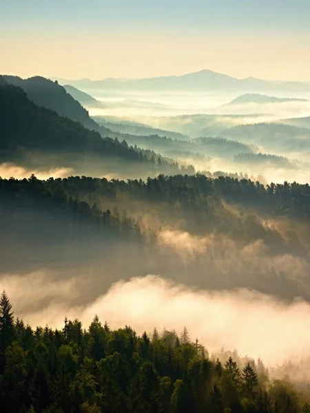 Amanhecer de outono colorido. Misty despertando em umas colinas bonitas. Picos de colinas — Fotografia de Stock