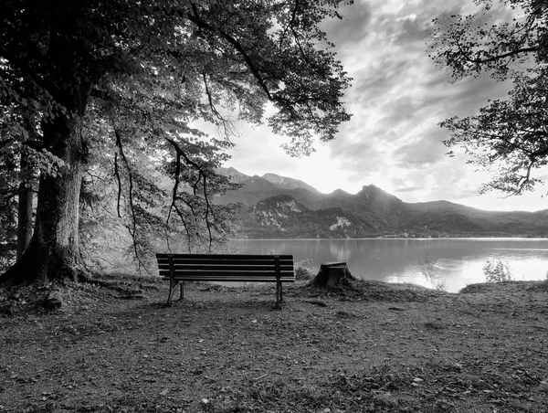 Empty wooden bench at mountain lake. Bank under beeches tree, — Stock Photo, Image