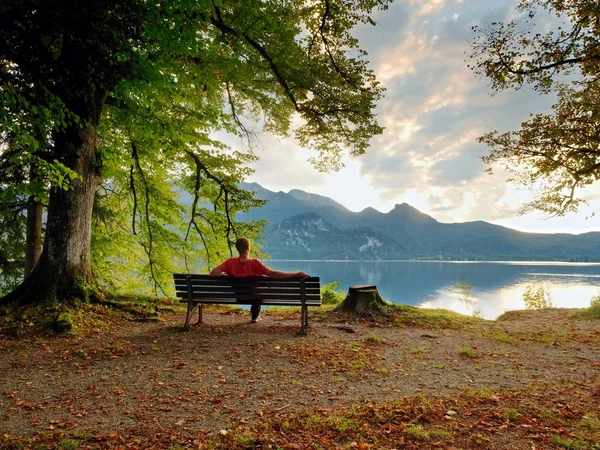 Man sit on wooden bench at mountain lake. Bank under beeches tree — Stock Photo, Image