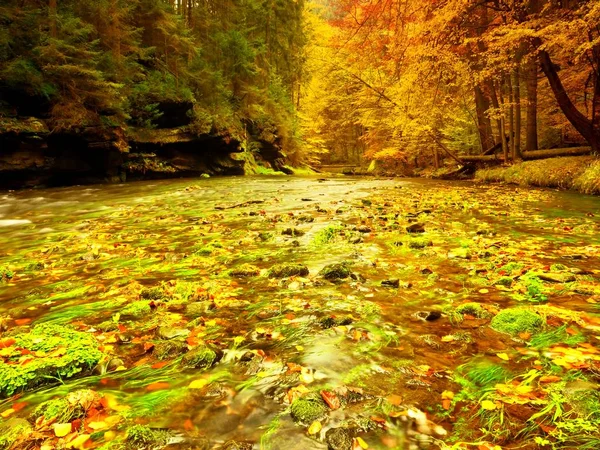 Rivière de montagne d'automne avec vagues floues, pierres mousseuses vertes fraîches et rochers — Photo