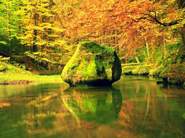 Sonbahar renkli orman dağ nehir yukarıda. Yaprakları ağaçların altında su — Stok fotoğraf