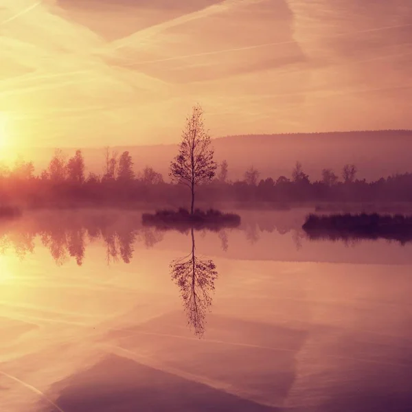 Swampy mountain  lake with mirrored  water level in mysterious forest, abandoned birch tree — Stock Photo, Image