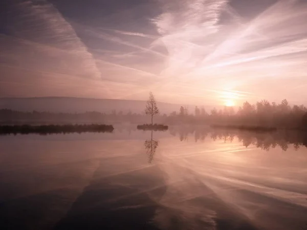 Early morning autumn at mountain lake in dreamy atmosphere, tree on island in middle. — Stock Photo, Image