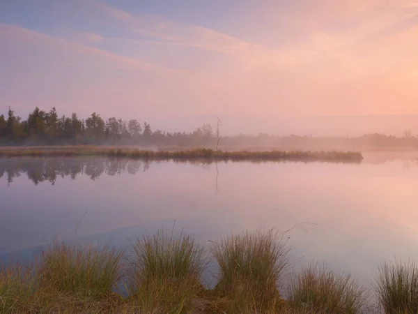 꿈꾸는 듯한 분위기, 중간에 섬에 나무에에서 산 호수에서 이른 아침이. — 스톡 사진