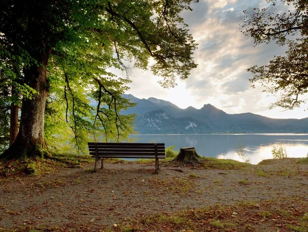 Empty wooden bench at mountain lake. Bank under beeches tree, — Stock Photo, Image