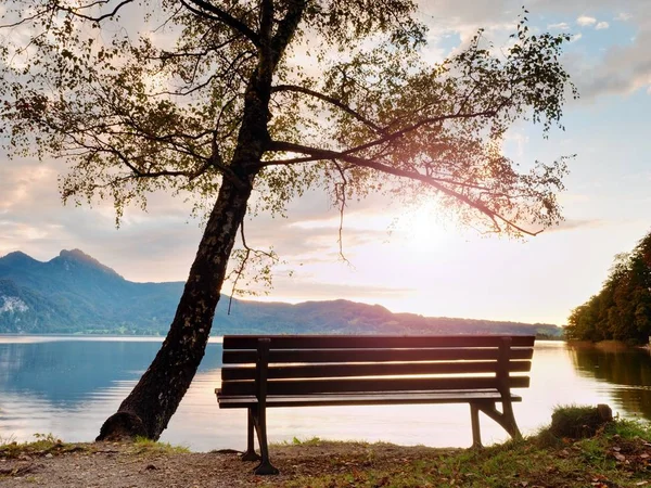 Empty bench at autumn mountain lake. Coast under bended tree — Stock Photo, Image