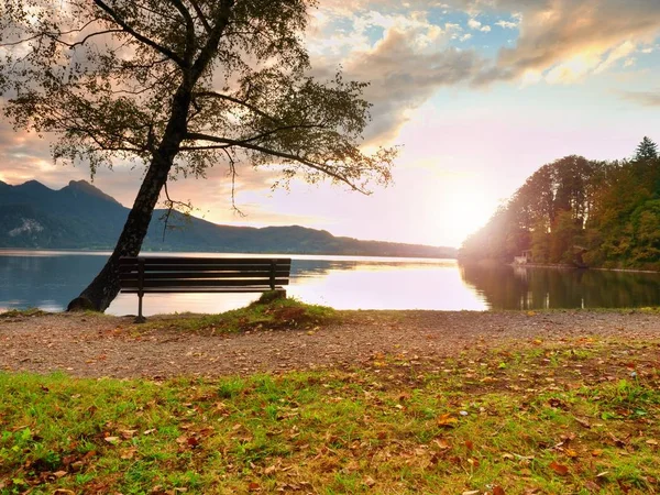 Empty bench at autumn mountain lake. Coast under bended tree — Stock Photo, Image