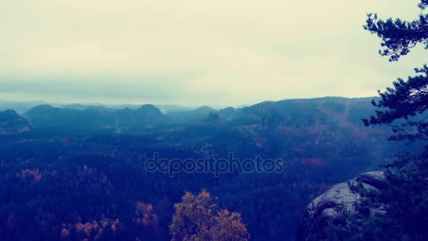 Idő telik el. A völgy kék ködben. Mozgó köd ordít szempontból teljes köd. A köd fölött a treetops erdő mozgó. Első pink színű az ég hajnalban a nap sugarai. — Stock videók