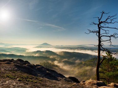 Renkli sonbahar daybreak. Puslu bir güzel tepelerde uyanış. Hills doruklarına
