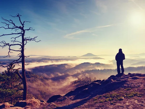 Sonniger Herbstmorgen. Wanderer steht auf dem Gipfel des Felsens im Park der Felsenimperien — Stockfoto