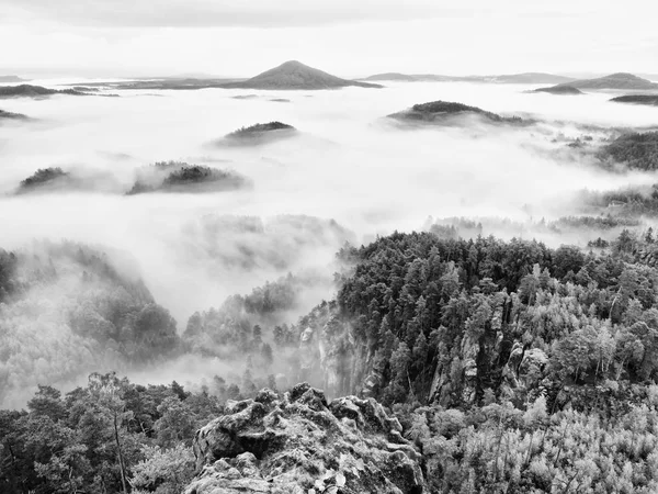 Spring misty landscape. Morning in beautiful hills of natural park. — Stock Photo, Image