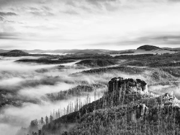 春の霧の風景。自然公園の美しい丘の朝. — ストック写真