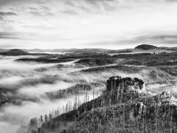 Paesaggio nebbioso di primavera. Mattina in splendide colline di parco naturale . — Foto Stock