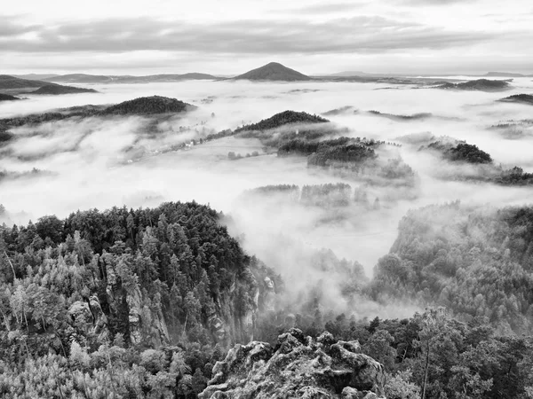 Spring misty landscape. Morning in beautiful hills of natural park.