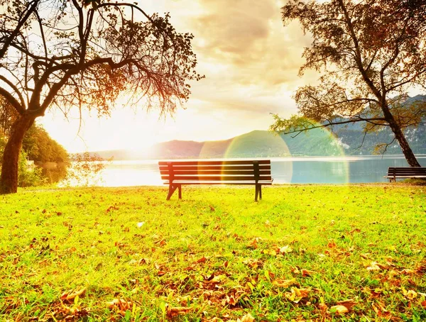 Strong flare defect, bench at mountain lake. Pond bank  tree, — Stock Photo, Image