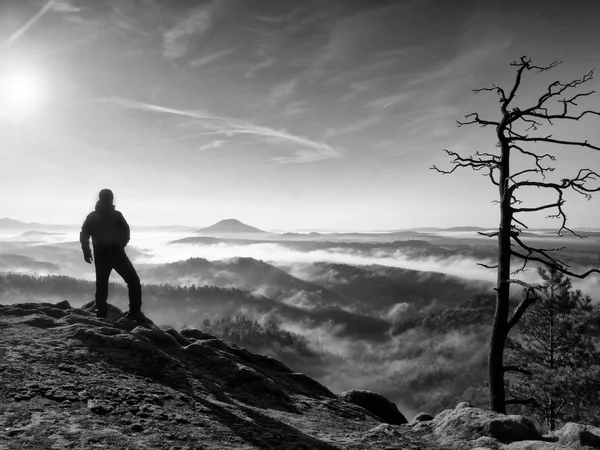 Mattina d'autunno soleggiata. Escursionista è in piedi sulla cima della roccia nel parco imperi rocciosi — Foto Stock