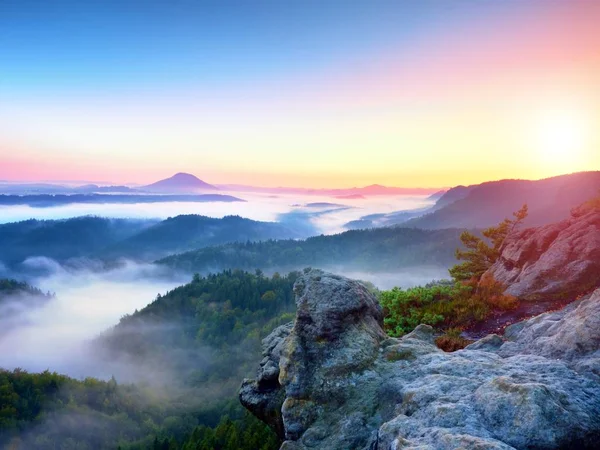 Despertar brumoso de hermoso valle de hadas. Picos de rocas por encima de niebla cremosa — Foto de Stock