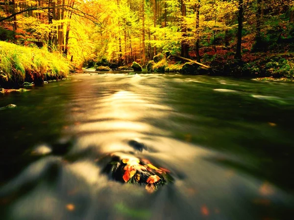 Río de montaña de otoño. Ondas borrosas, piedras musgosas —  Fotos de Stock