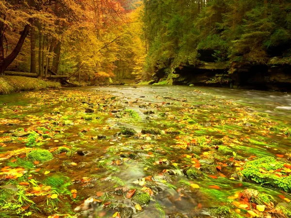 Autumn mountain river with blurred waves,, fresh green mossy stones and boulders — Stock Photo, Image