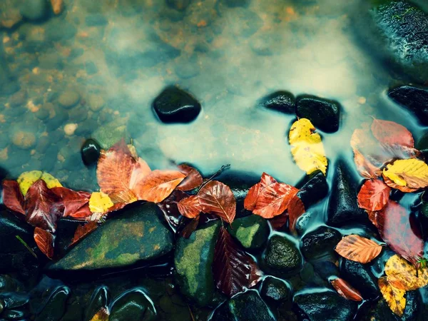 Χρώματα πτώση. Χαλίκι στο ποτάμι βουνό καλυμμένο με φύλλα του φθινοπώρου — Φωτογραφία Αρχείου