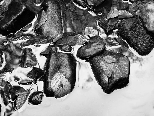 Detail von morschen alten Blättern auf Basaltkies im spiegelnden Wasser des Gebirgsbaches. — Stockfoto