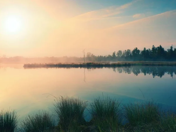 Outono de manhã cedo no lago de montanha em atmosfera sonhadora, árvore na ilha no meio . — Fotografia de Stock