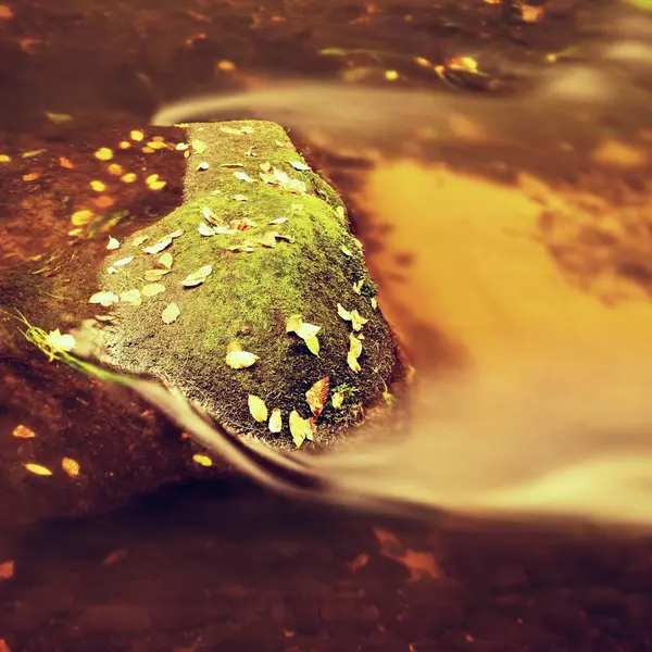Pedregulhos musgosos com primeiras folhas coloridas na água do rio de montanha . — Fotografia de Stock