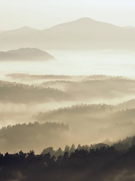 Brume matinale d'automne. La falaise de grès au-dessus des cimes des arbres de la forêt — Photo