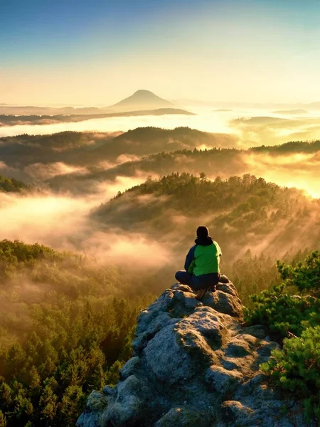 Turista uomo sedersi sulla roccia esposta. Punto di vista con erica e rami — Foto Stock