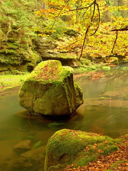 Colors of autumn mountain river.  Mossy boulder in cold water — Stock Photo, Image