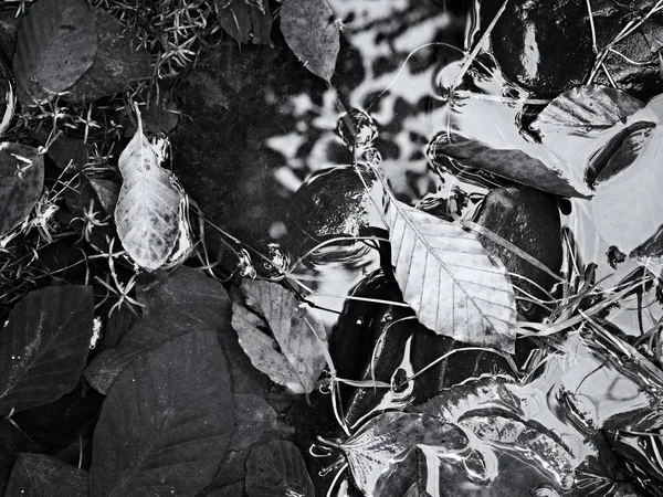 Détail de vieilles feuilles pourries sur du gravier de basalte dans les eaux miroitantes du ruisseau de montagne . — Photo